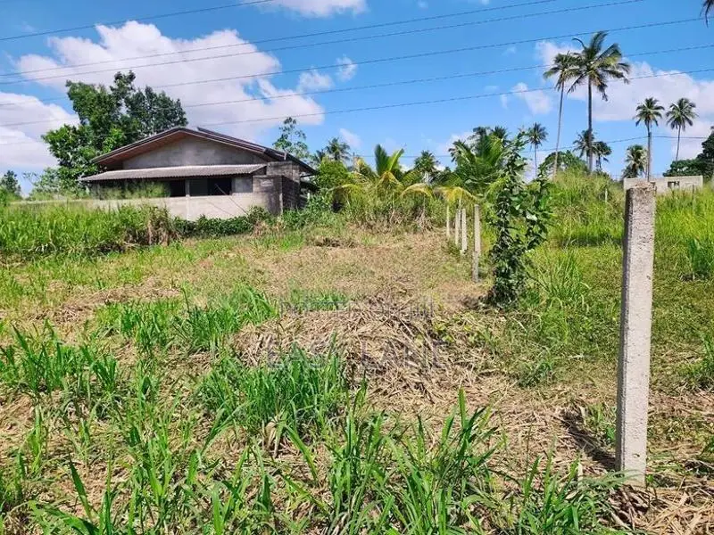 Land for Sale in Veyangoda