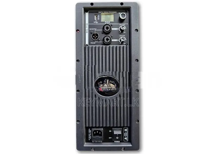 WO-918 600W RMS Class-D Sub Woofer Amplifier Module