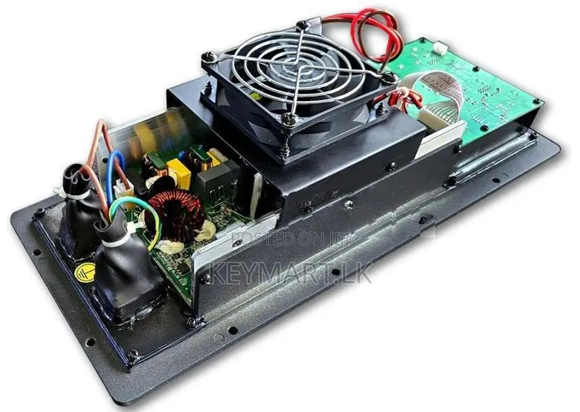 WO-918 600W RMS Class-D Sub Woofer Amplifier Module