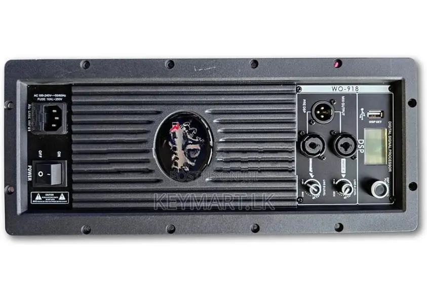 WO-918 600W RMS Class-D Sub Woofer Amplifier Module
