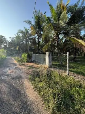 Coconut Land with Cinnamon Sale Kuliyapitiya