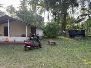 Coconut Land with Cinnamon Sale Kuliyapitiya
