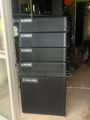 C - Mark Line Array System Professional Audio Setup
