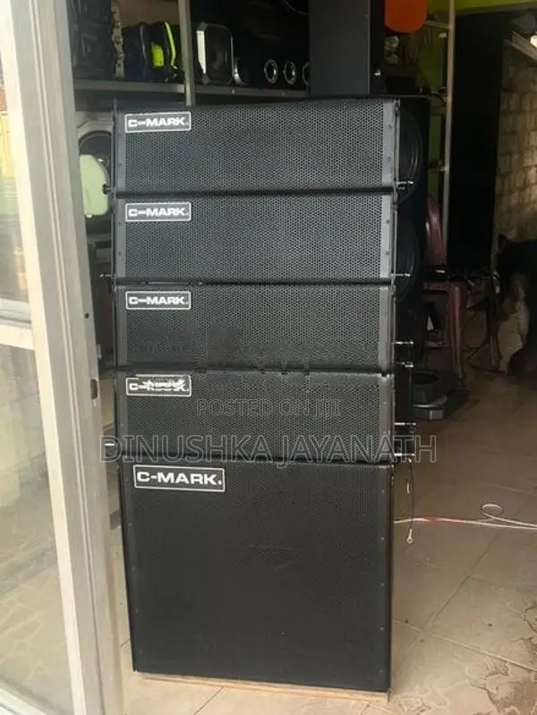 C - Mark Line Array System Professional Audio Setup