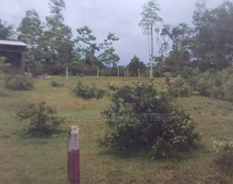 Valuable Land for Sale in Homagama Pitipana