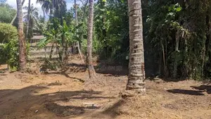 Land for Sale in Mirigama