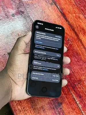 Apple iPhone 15 Pro Max (Used)