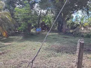 බෙලිඅත්ත නගරයෙන් පර්චස් 20ක ඉඩමක් විකීඉමට