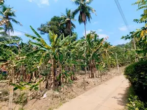 Land for Sale in Yakkala