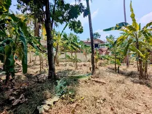 Land for Sale in Yakkala