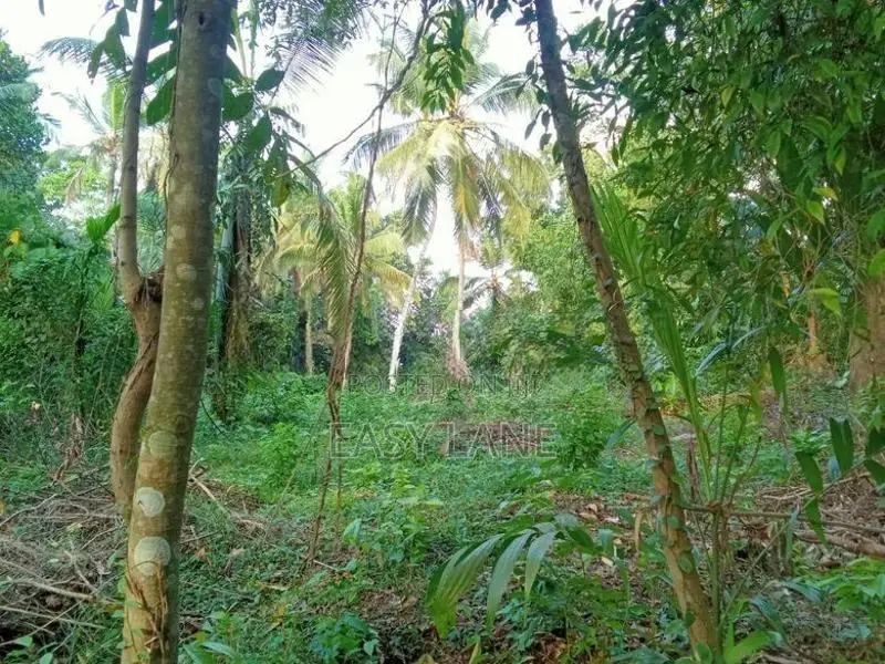 Land for Sale in Urapola