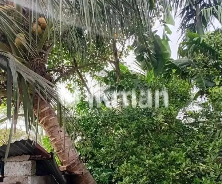 Valuable 14 P Land for Sale in Kadawatha 📍