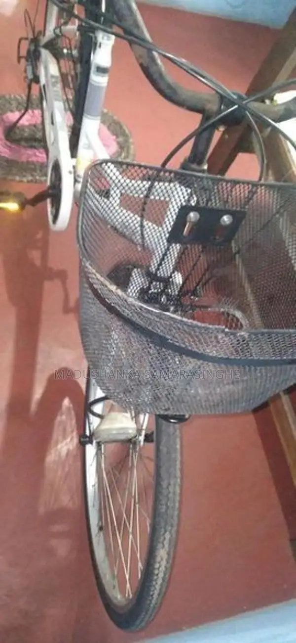 Bicycle