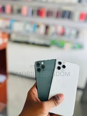 Apple iPhone 11 Pro 256GB Fullset Box (Used)
