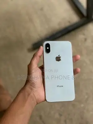 Apple iPhone X 256GB (Used)