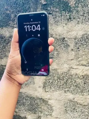 Apple iPhone 11 Pro 256GB (Used)