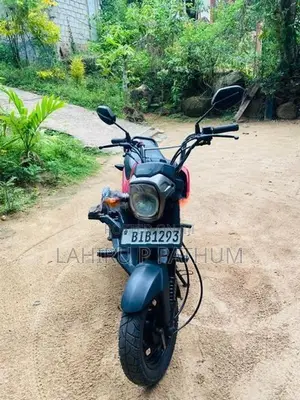 Honda Navi 2017