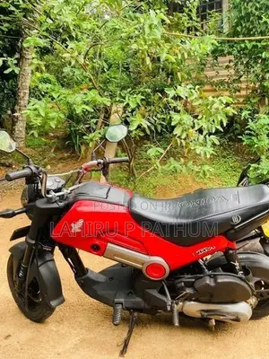 Honda Navi 2017