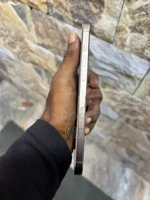 Apple iPhone 16 Pro Max 256GB (Used)