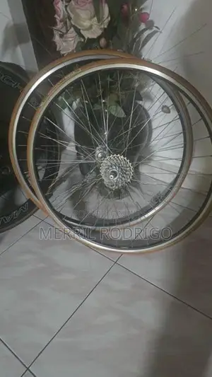 Racing Bicycle