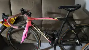Racing Bicycle