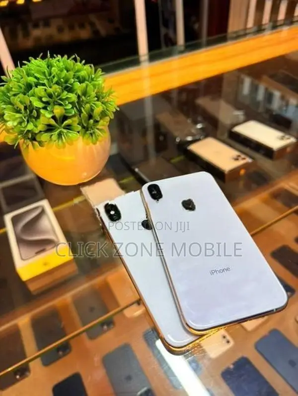 Apple iPhone X 256GB (Used)