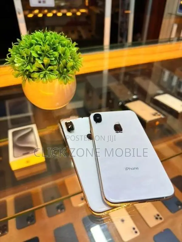 Apple iPhone X 256GB (Used)