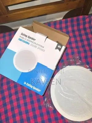 Ceiling Speaker