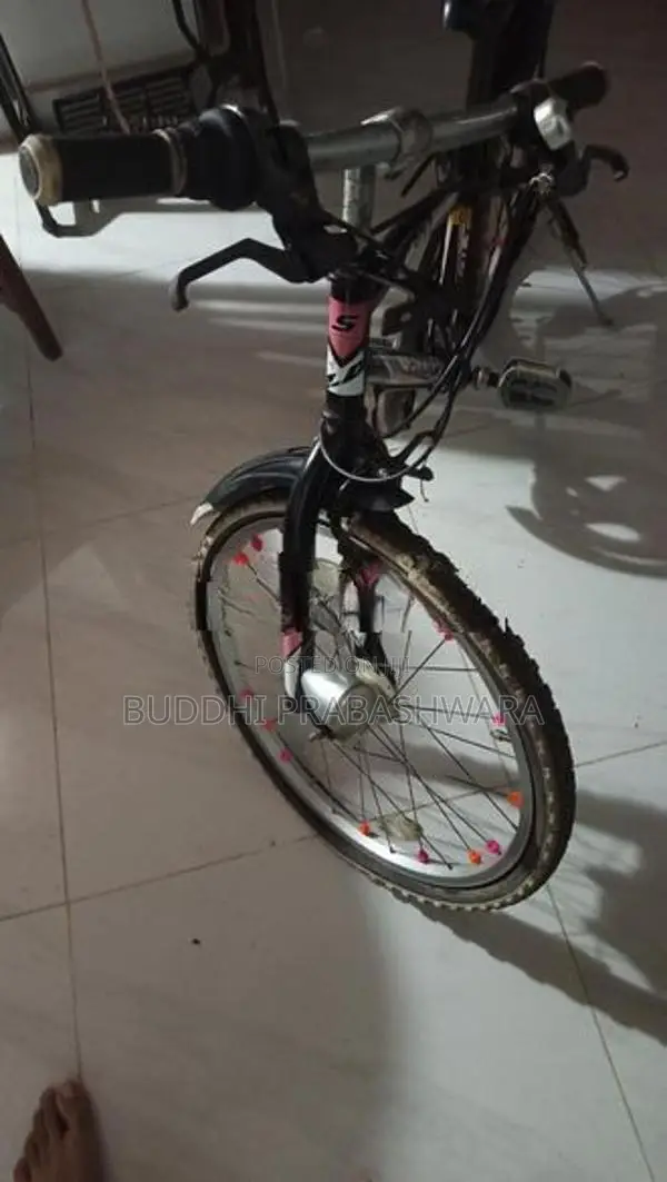 Sedona Japan Bicycle