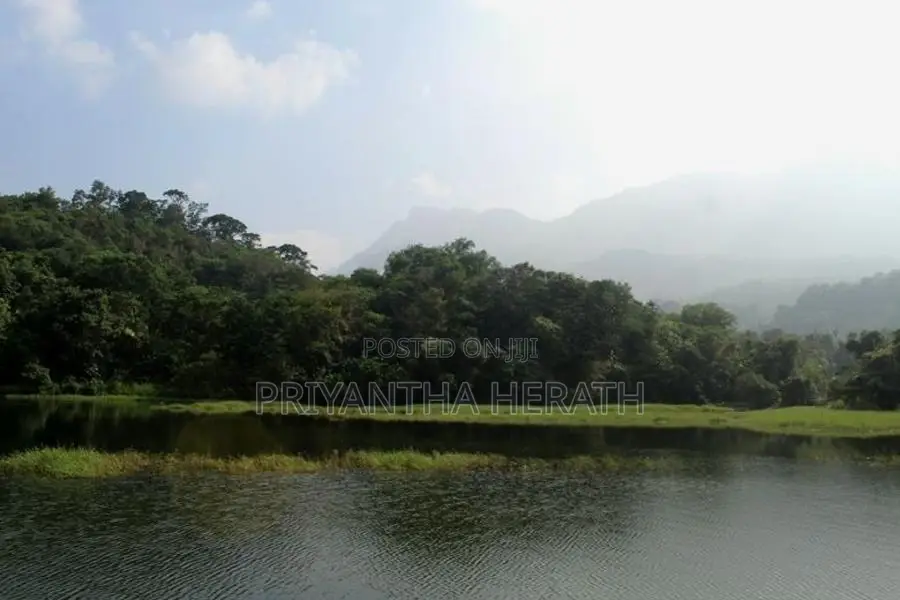 Land for Sale Bibile