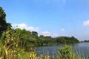 Land for Sale Bibile