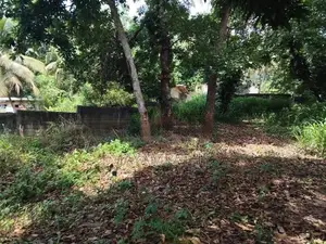 Land for sale in Kandy.