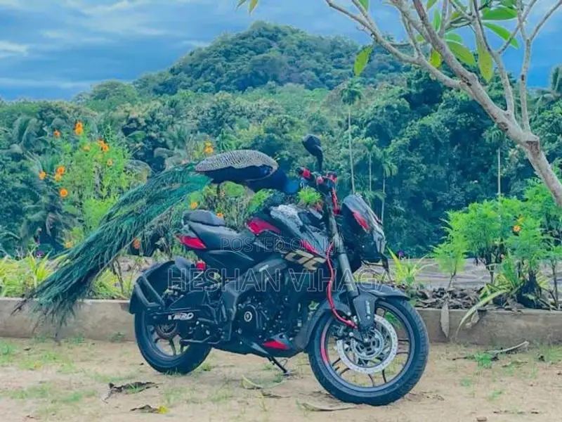 Bajaj Pulsar NS200 2026