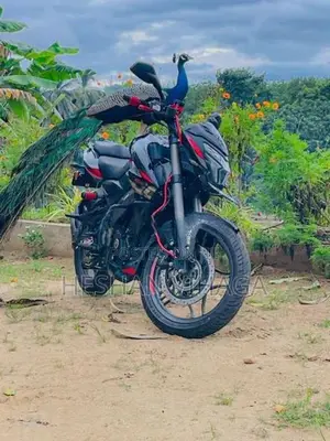 Bajaj Pulsar NS200 2026