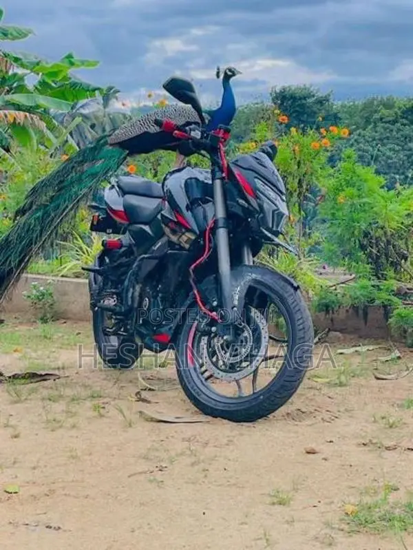 Bajaj Pulsar NS200 2026