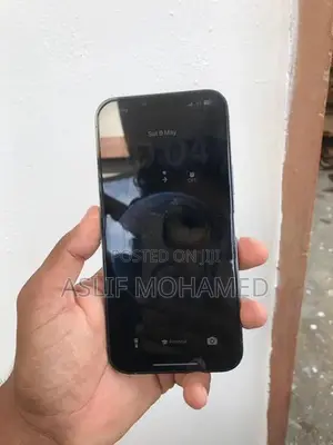 Apple iPhone 13 Pro Max (Used)