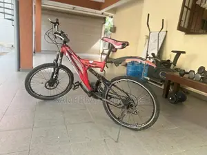 DSI 24’’ Bicycle