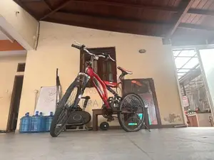 DSI 24’’ Bicycle