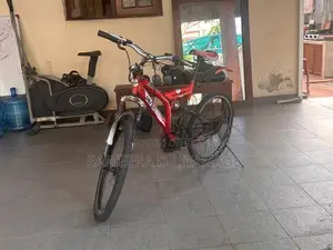 DSI 24’’ Bicycle