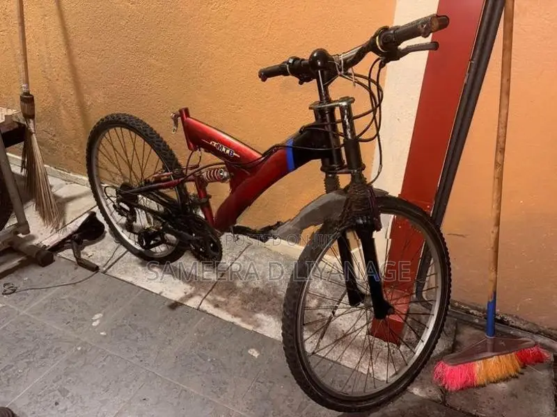 Lumala 26’’ Bicycle