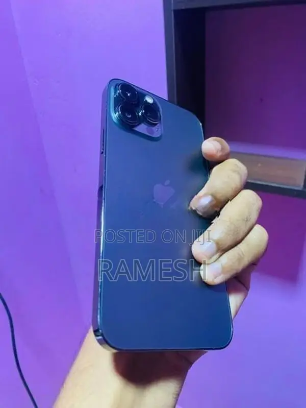 Apple iPhone 13 Pro Max 256GB (Used)
