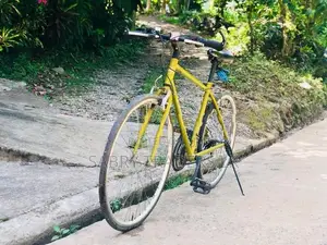 Racing Bicycle