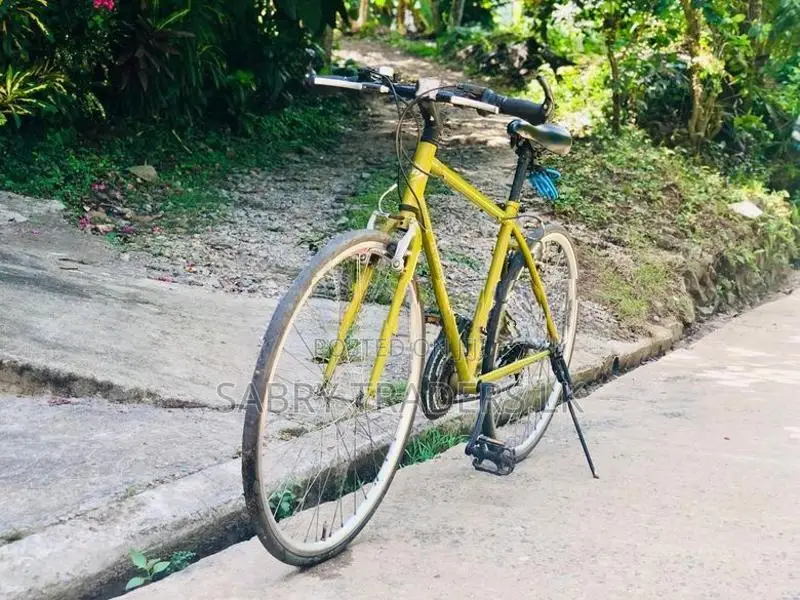 Racing Bicycle