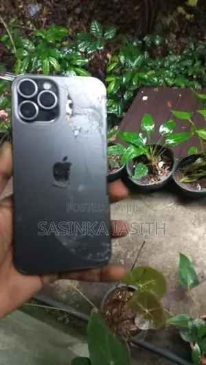 Apple iPhone 12 Pro Max (Used)