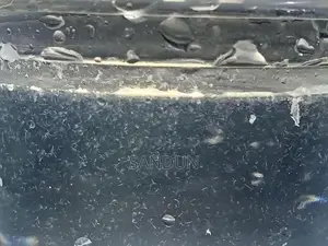 Vinegar Eel Culture