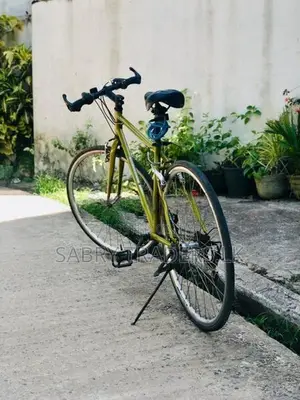 Racing Bicycle