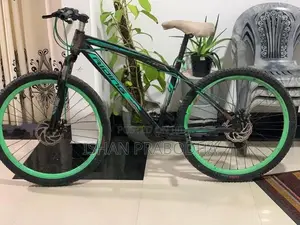Mountain Bicycle