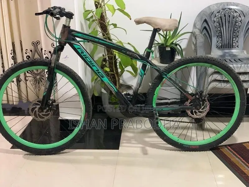 Mountain Bicycle