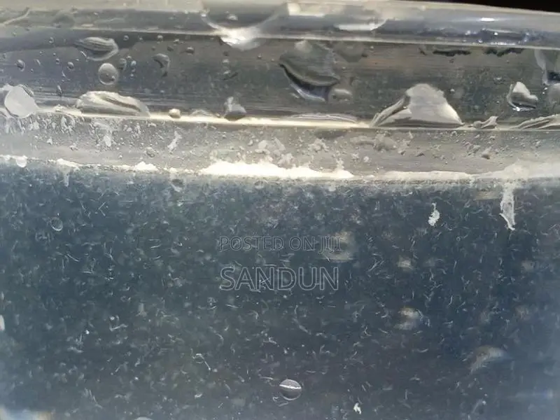 Vinegar Eel Culture