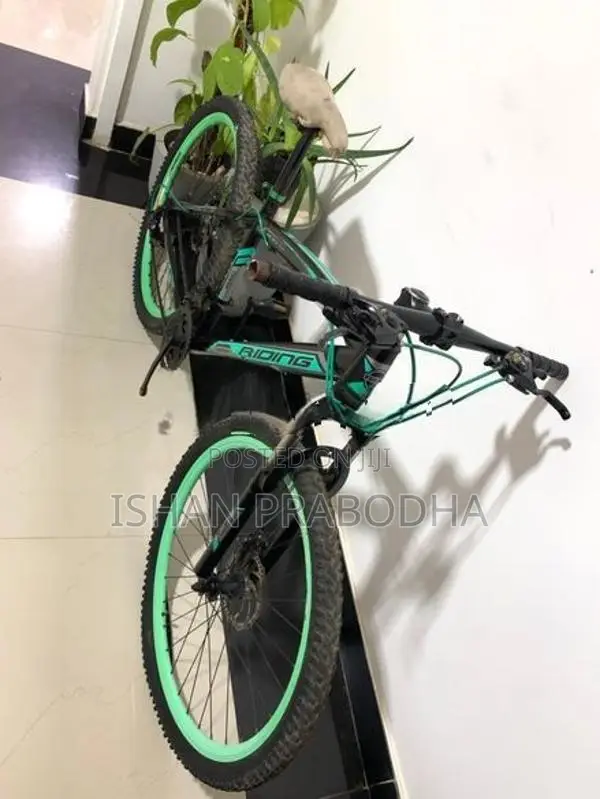 Mountain Bicycle